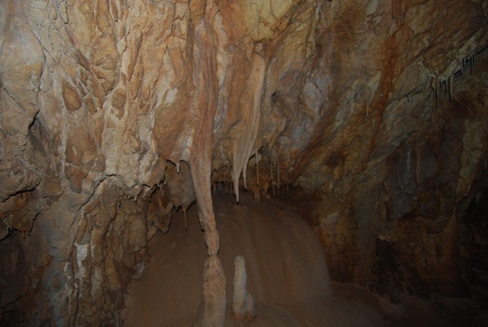 DSC_4600 - NIKON ZIUA 2