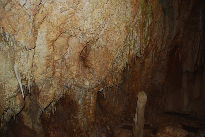 DSC_4601 - NIKON ZIUA 2