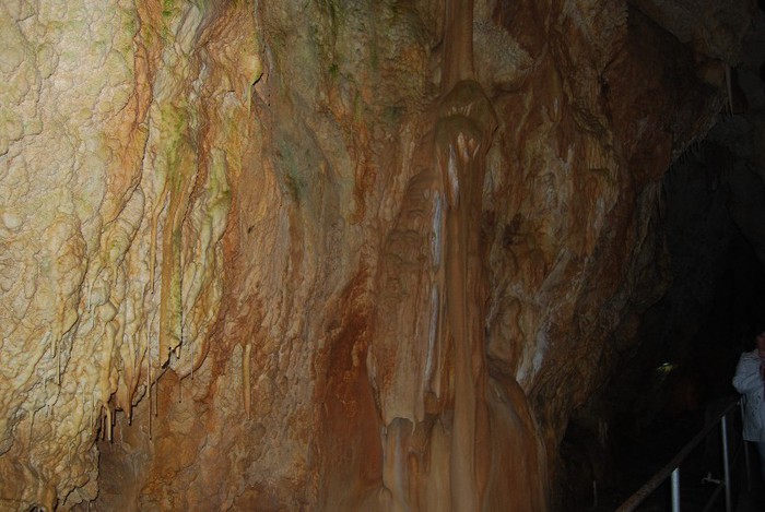 DSC_4602 - NIKON ZIUA 2