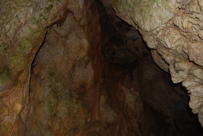 DSC_4603 - NIKON ZIUA 2