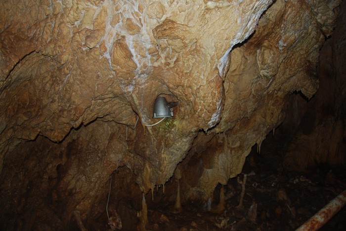 DSC_4607 - NIKON ZIUA 2