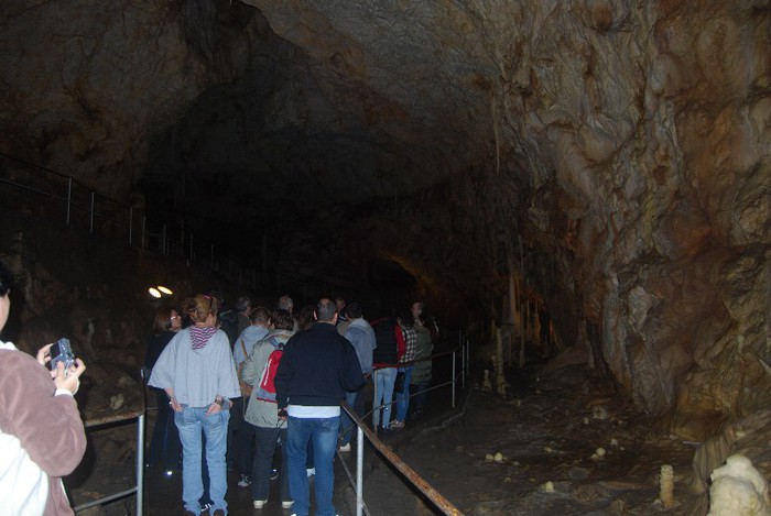 DSC_4685 - NIKON ZIUA 2