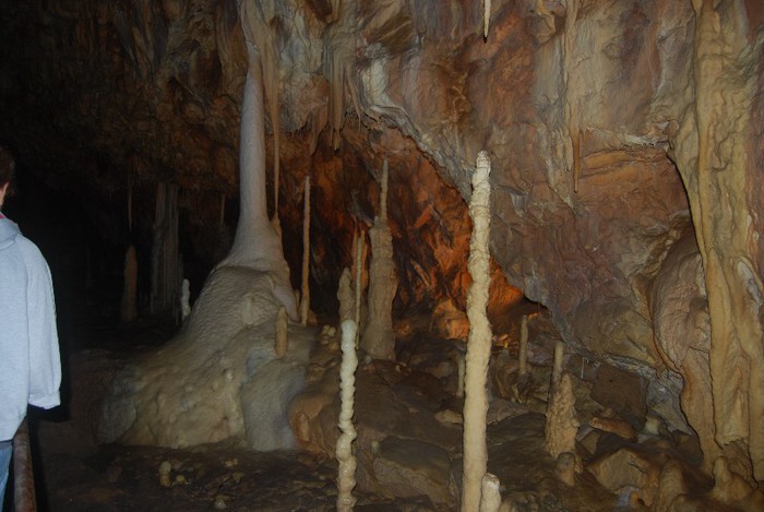 DSC_4692 - NIKON ZIUA 2