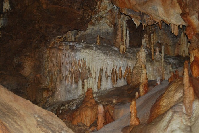 DSC_4699 - NIKON ZIUA 2