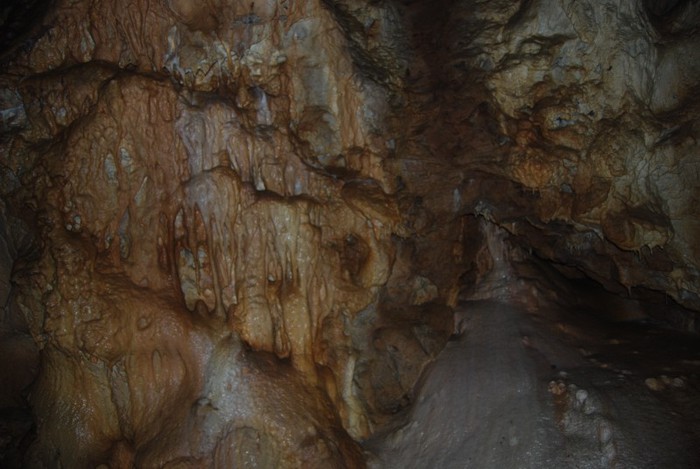 DSC_4703 - NIKON ZIUA 2