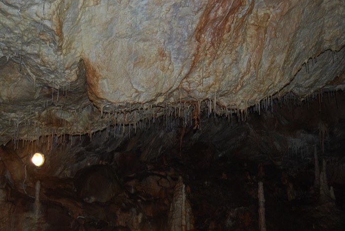 DSC_4704 - NIKON ZIUA 2