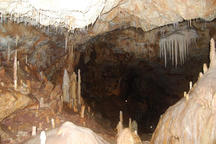 DSC_4705 - NIKON ZIUA 2