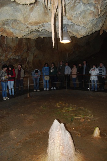 DSC_4707 - NIKON ZIUA 2