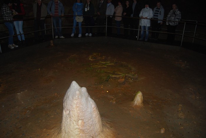 DSC_4708 - NIKON ZIUA 2