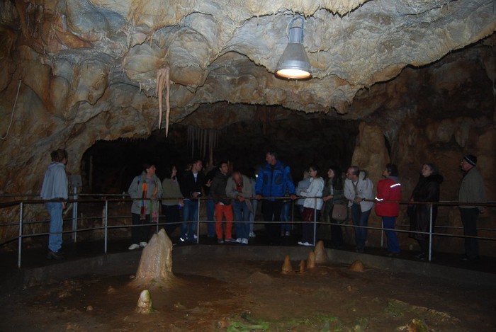 DSC_4709 - NIKON ZIUA 2