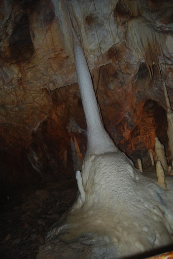 DSC_4723 - NIKON ZIUA 2