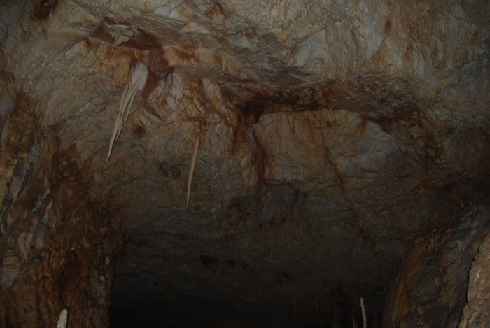 DSC_4725 - NIKON ZIUA 2