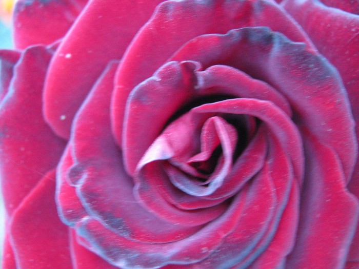 Picture 28.10.2012 029