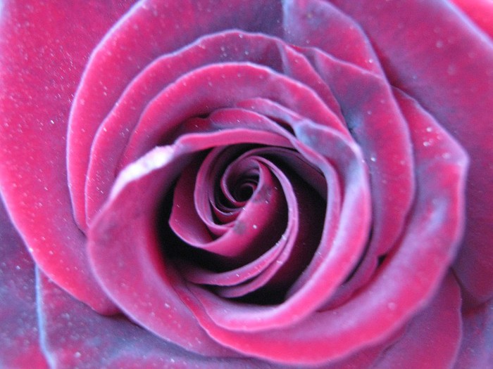 Picture 28.10.2012 030