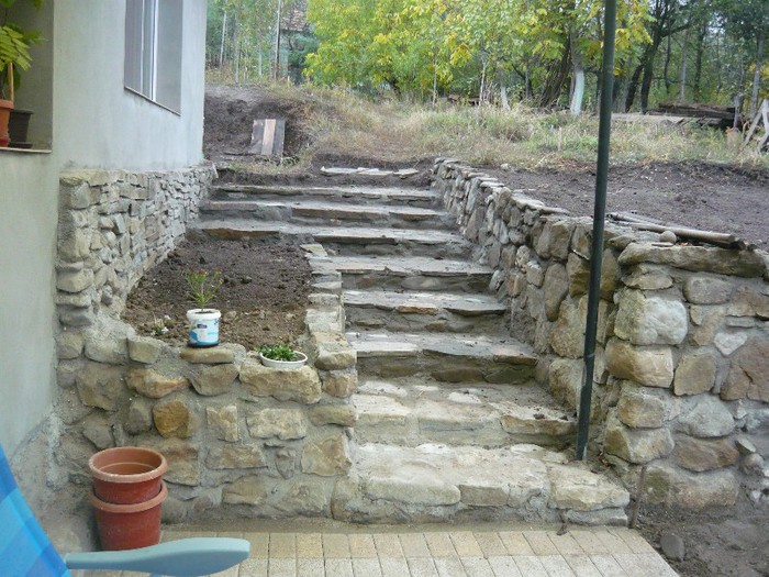 trepte spre gradina; in stanga am o multime de butasi trandafiri pusi in oct 2012
