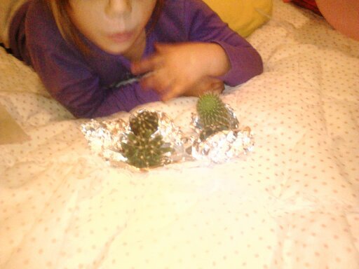 1351530098656 - vizita la isimona