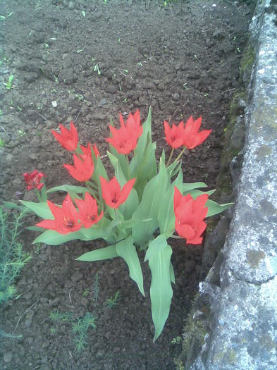 Imag003_2