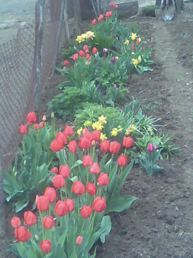 Imag005