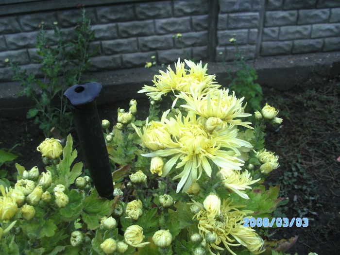 SANY0506