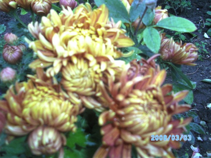 SANY0507