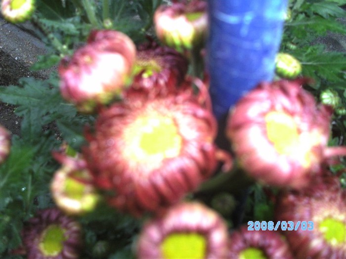 SANY0510