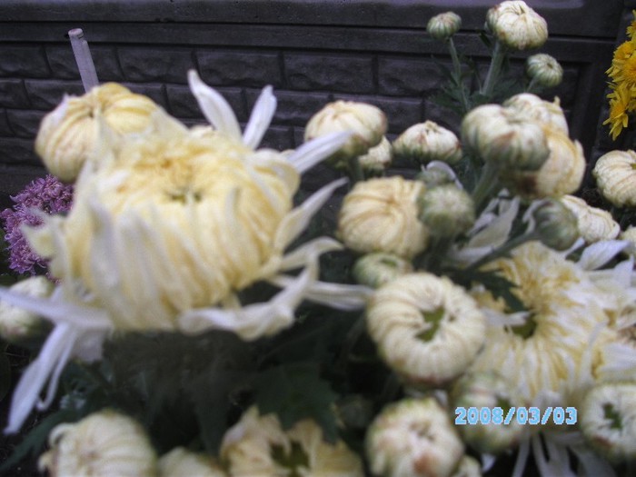 SANY0514