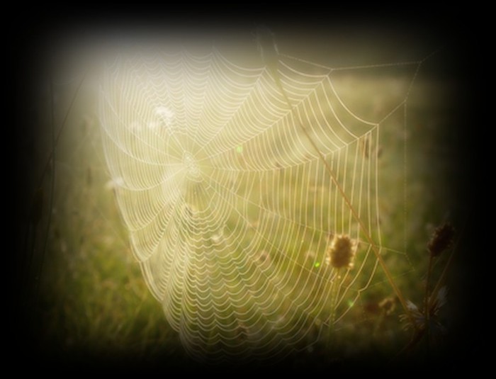 Mergand,Yuki.Si vazand ceva suspicios ce il speriase dintr`o secunda.