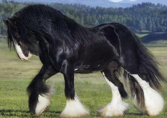 383498_356792197745639_1025703598_n