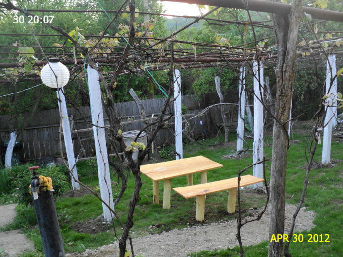 DSC04681 - CASA SI GRADINA MEA
