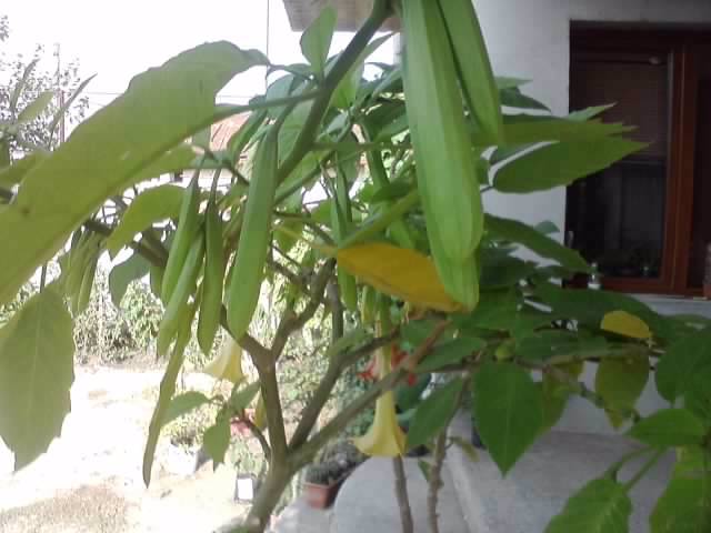 P181012_01.12_[04]