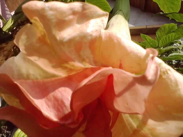 P231012_03.25_[02]