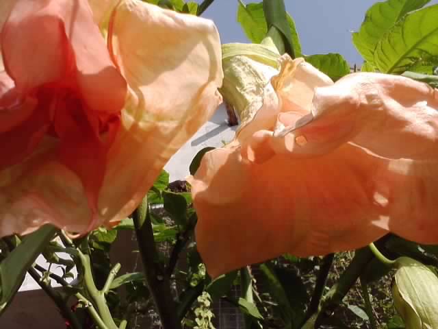 P231012_03.25_[03]