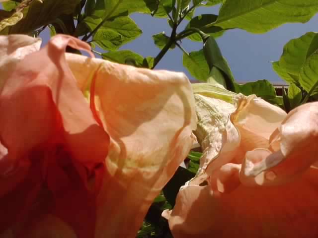 P231012_03.25_[04]