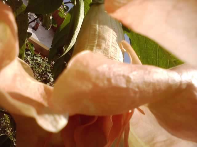 P231012_03.26_[01]