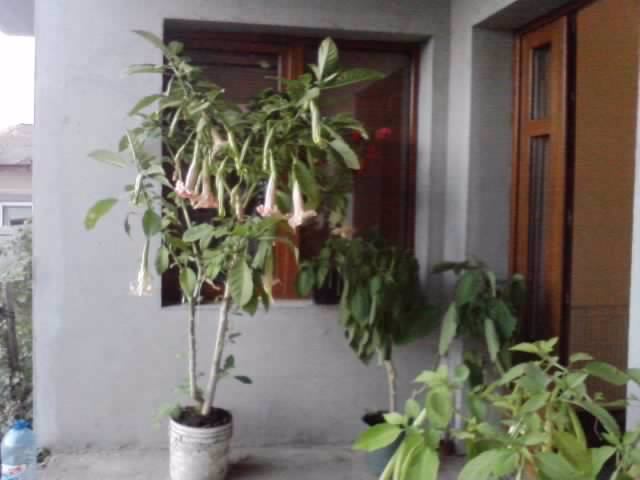 P231012_07.39_[02]