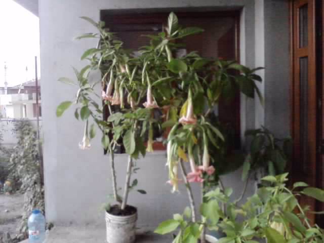 P231012_07.40