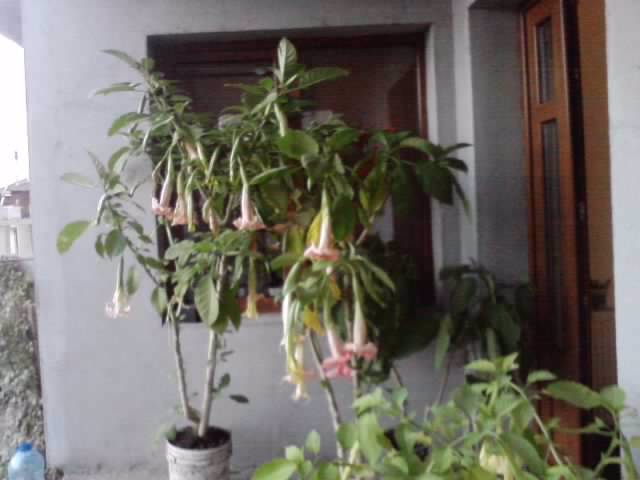 P231012_07.40_[01]