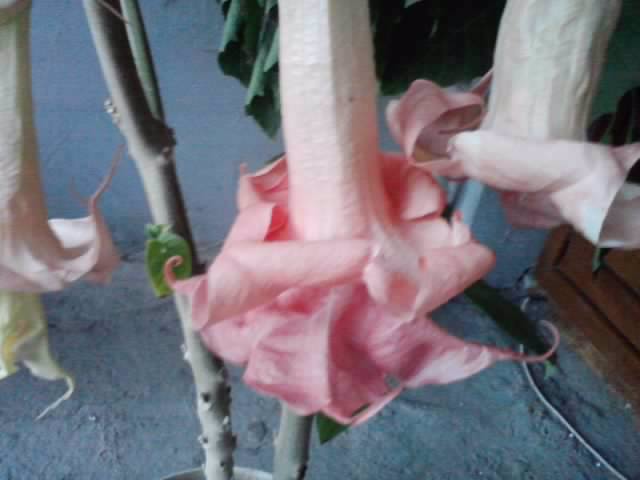 P231012_07.40_[03]