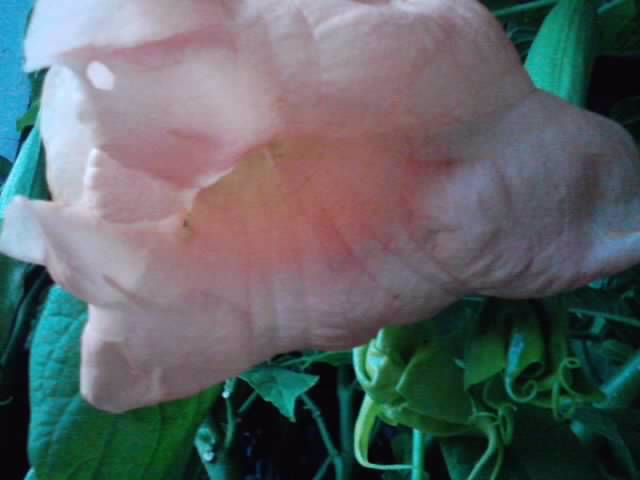 P231012_07.41_[01]