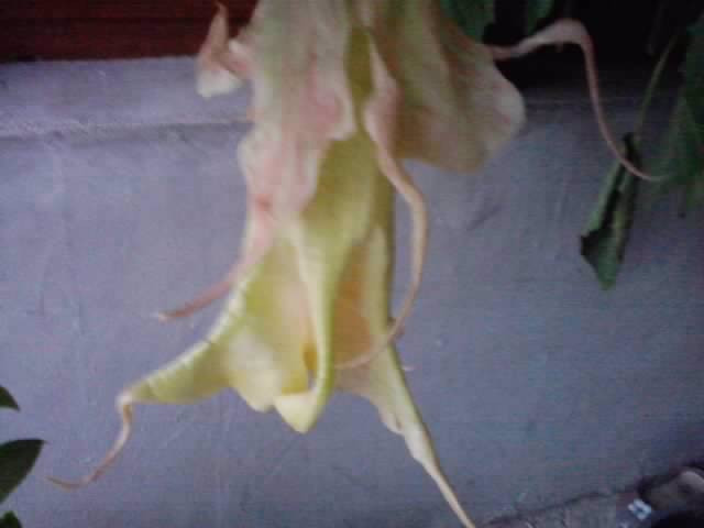 P231012_07.42
