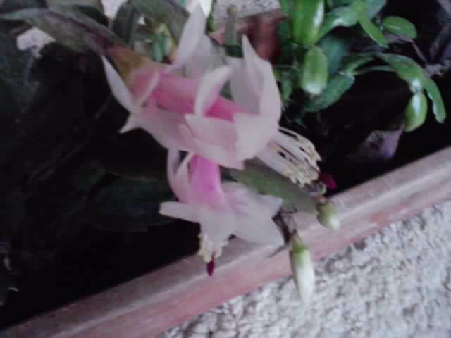 P241012_05.43_[03]