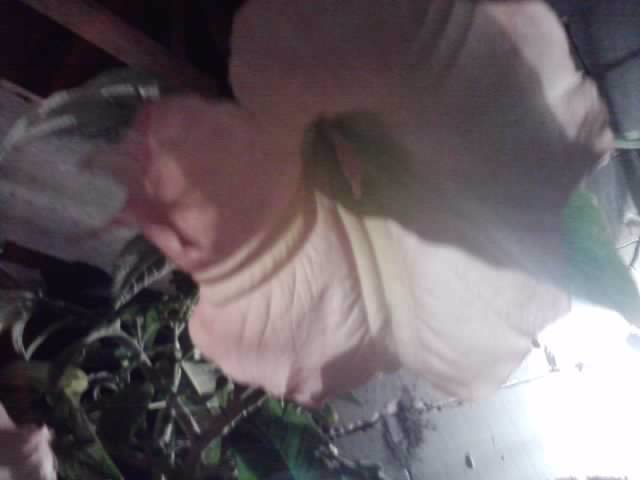 P241012_06.41_[02]