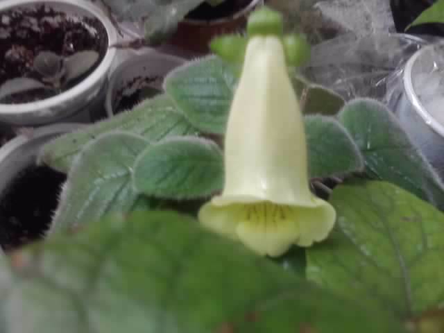 P241012_23.57_[01]