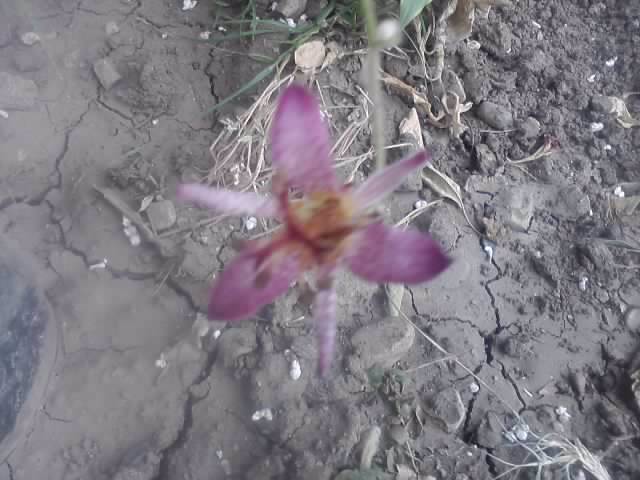 P251012_06.13_[02]