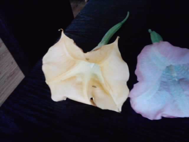 P261012_23.55_[02]