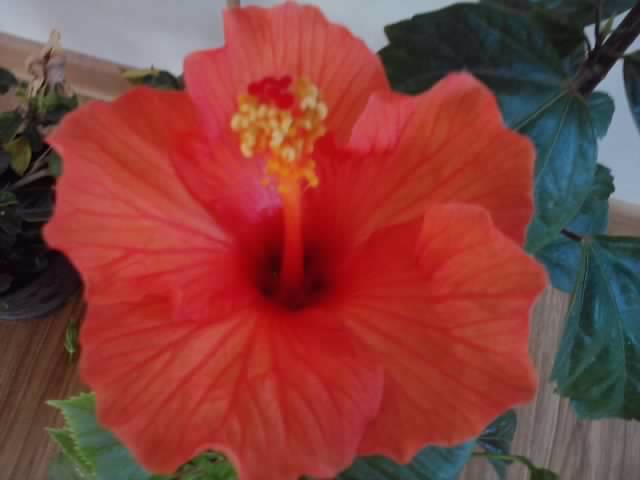 P201012_00.00
