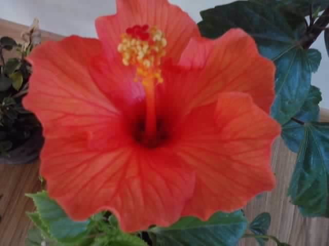 P201012_00.00_[01]