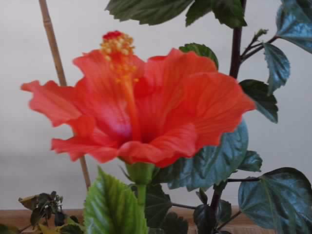 P201012_00.00_[02]
