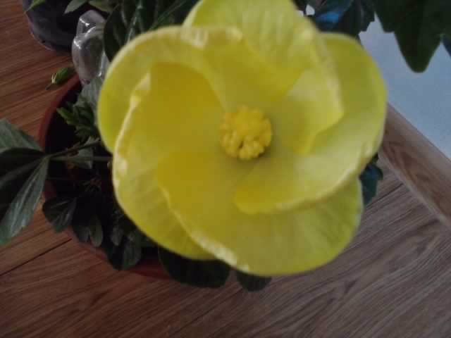 P201012_00.01_[02]