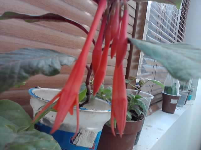 P201012_03.37_[03]
